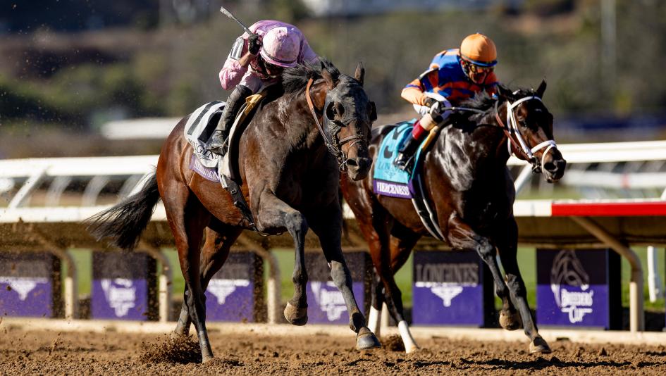 Deep Cast of Returning Winners Expected for 2025 Breeders’ Cup